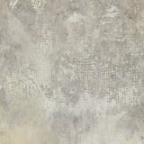 Through The Mist by Matera Artwork