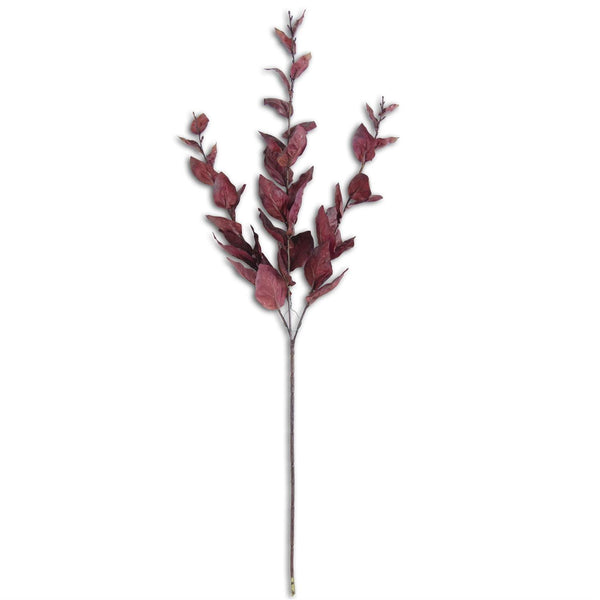 Basil Leaves Spray - Grove Collective