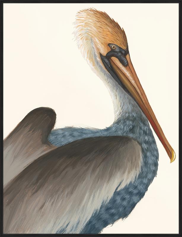 Drawn Pelican II Artwork