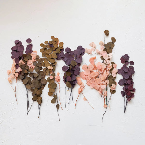 Dried Euca Bunch - Grove Collective
