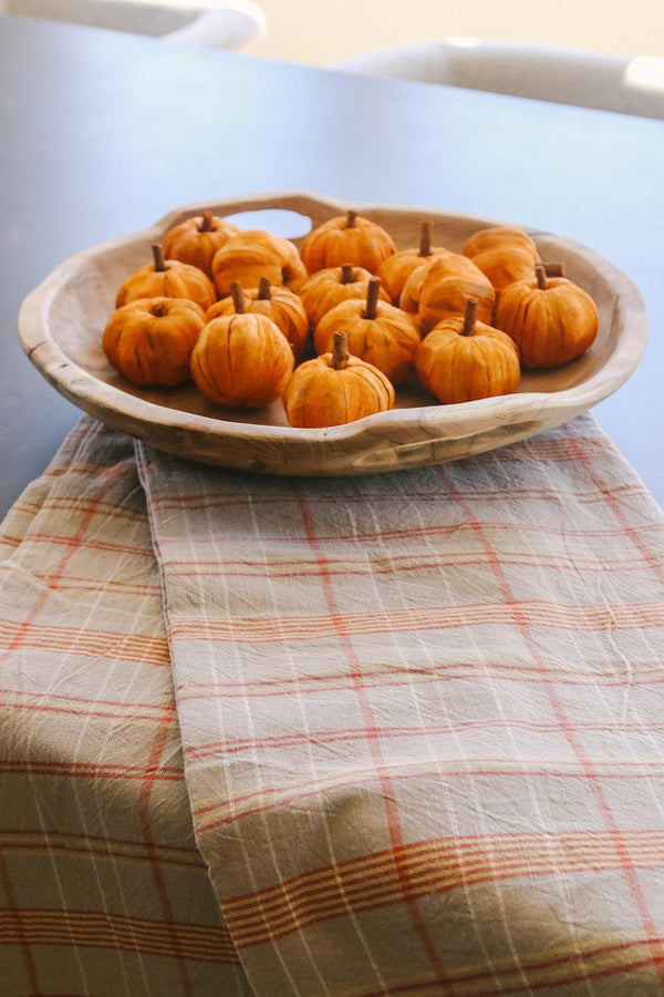 Dried Mini Pumpkins - Grove Collective