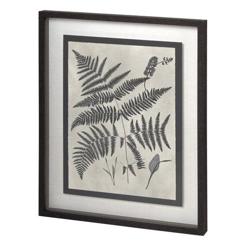 Vintage Fern Study - Grove Collective