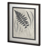 Vintage Fern Study - Grove Collective
