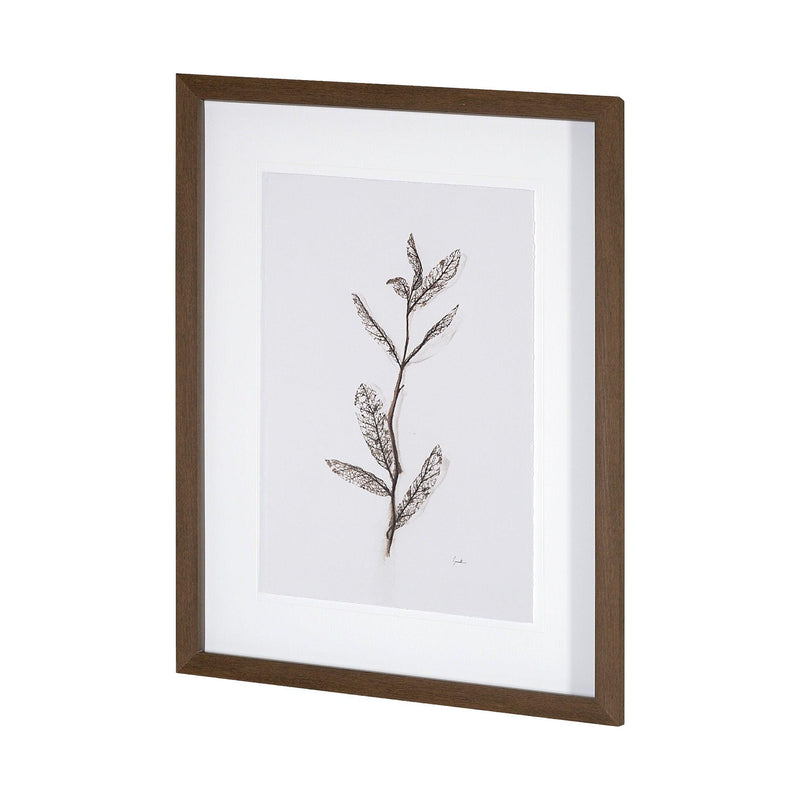 Olive Branch Frame - Grove Collective