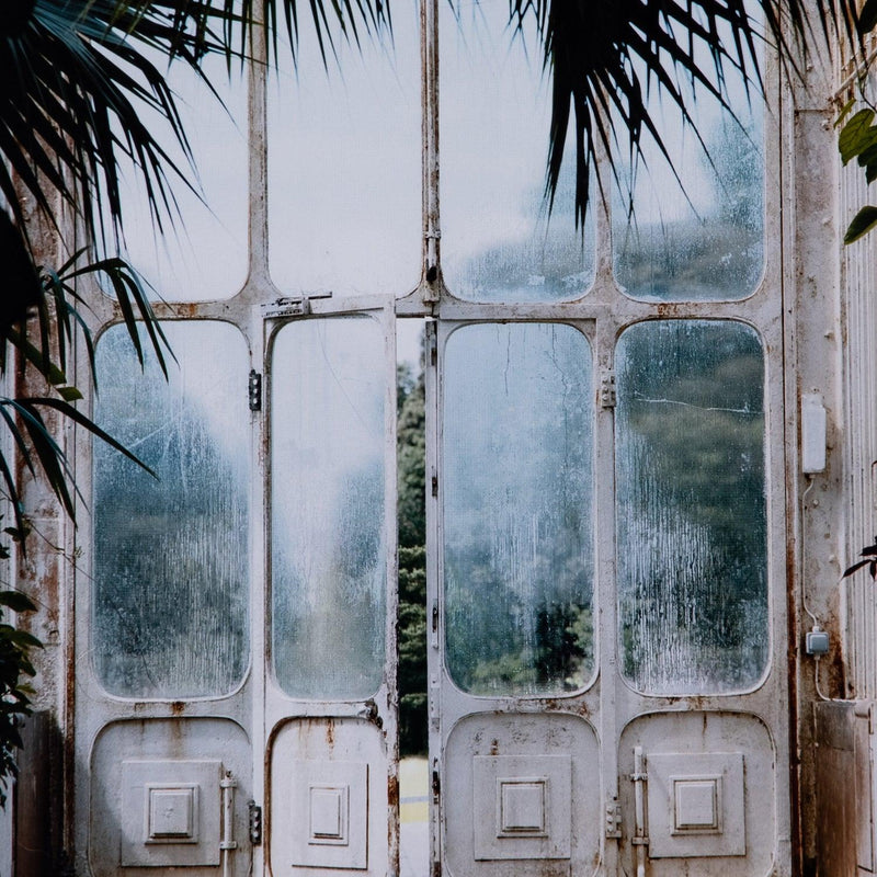 Greenhouse II By Annie Spratt - Grove Collective